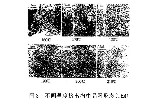 晶網狀態(tài)